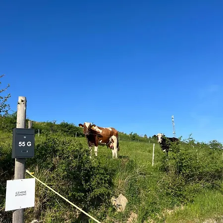 Czarne Ptaszki * Szlembark