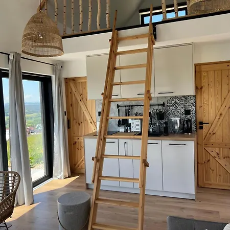 Czarne Ptaszki 度假居