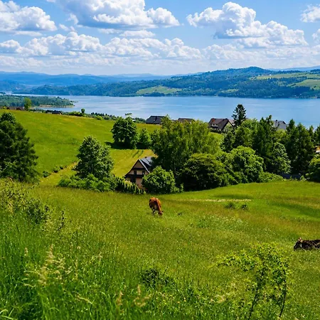 Czarne Ptaszki