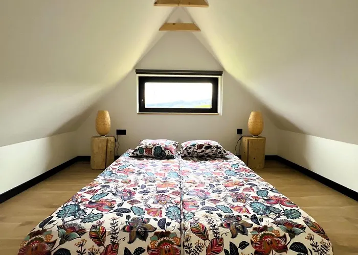 בית נופש Czarne Ptaszki *