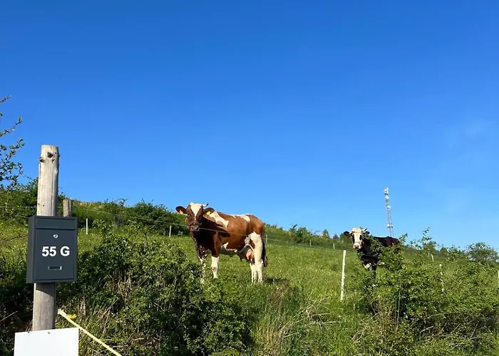 Czarne Ptaszki * Szlembark